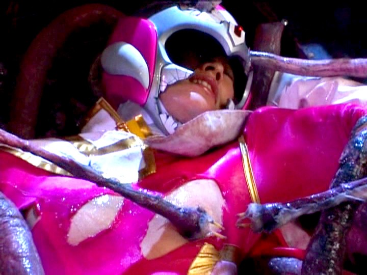 サンプル画像 11