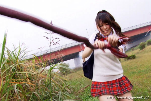 サンプル画像 2