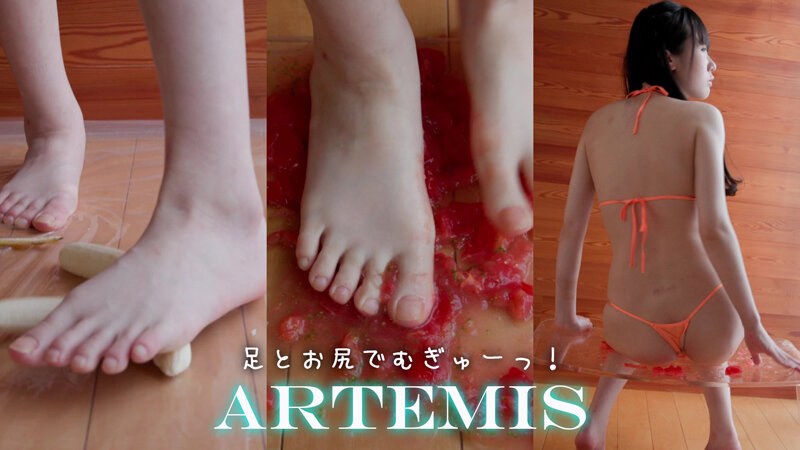 サンプルプレビュー