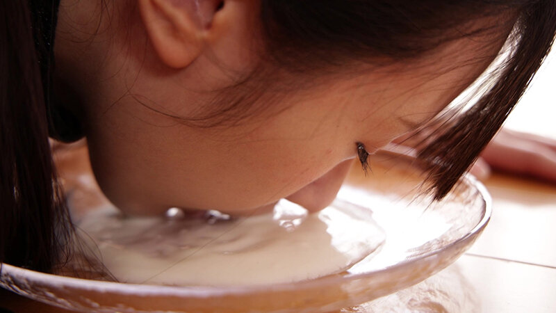 サンプル画像 11