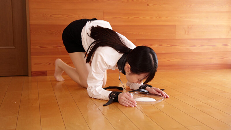 サンプル画像 8