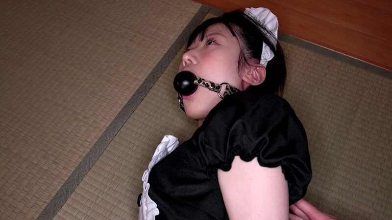 サンプル画像 9