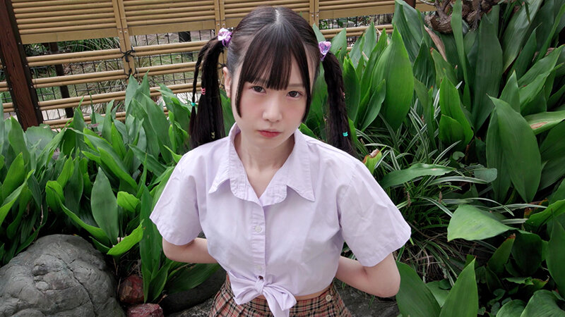 サンプル画像 2