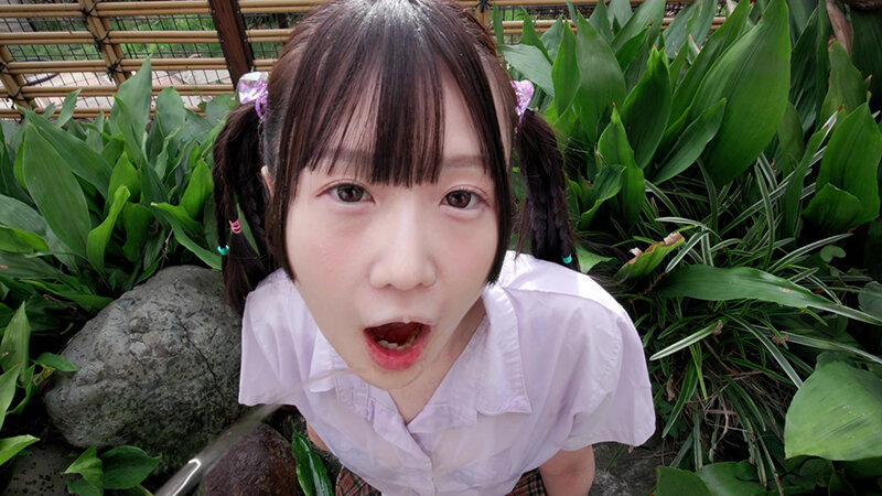 サンプル画像 11