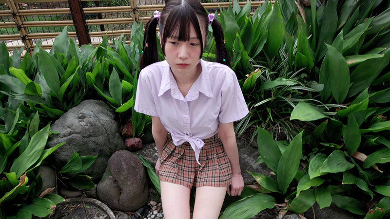 サンプル画像 5