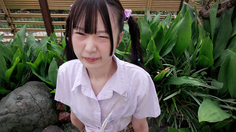 サンプル画像 8