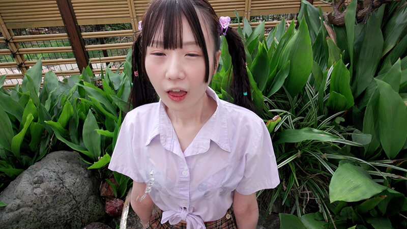 サンプル画像 9