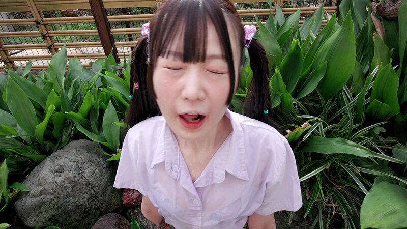 サンプル画像 10