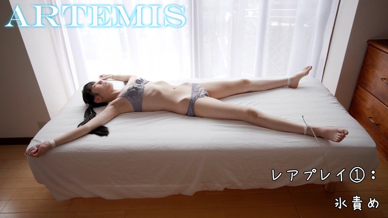 サンプルプレビュー