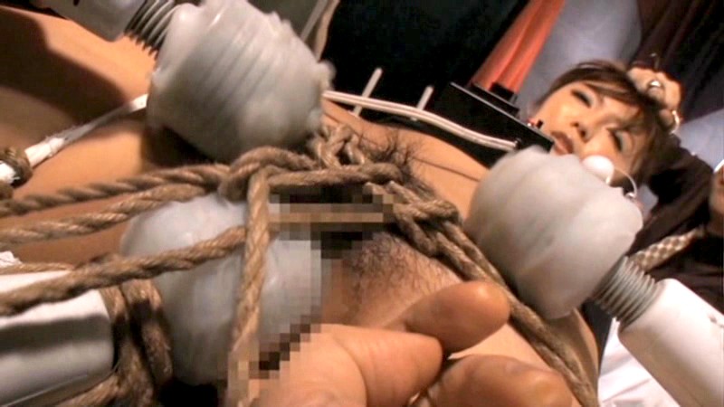 サンプル画像 11