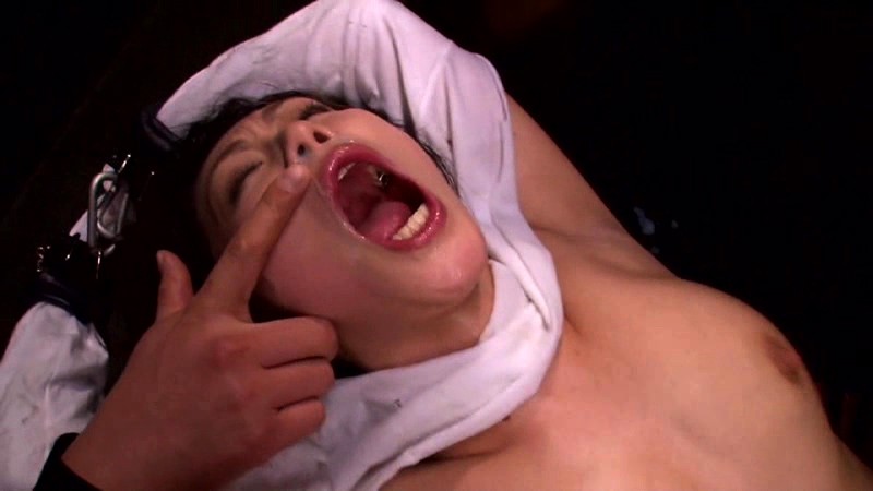 サンプル画像 15