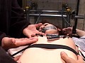 サンプル画像 13