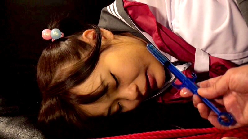 サンプル画像 5