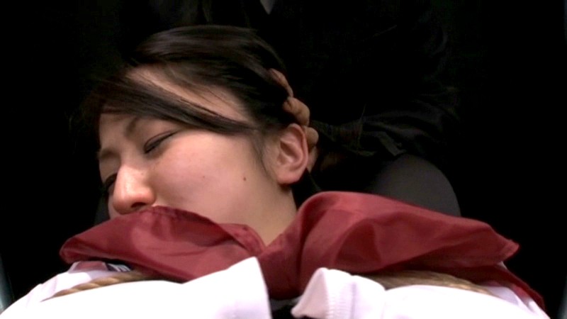 サンプル画像 3