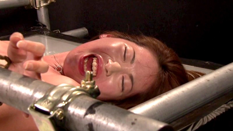 サンプル画像 11