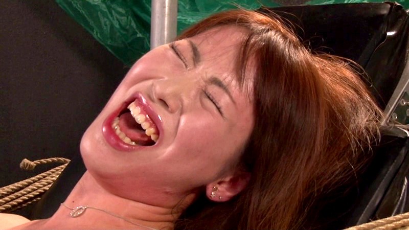 サンプル画像 15