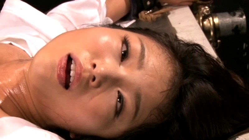 サンプル画像 12