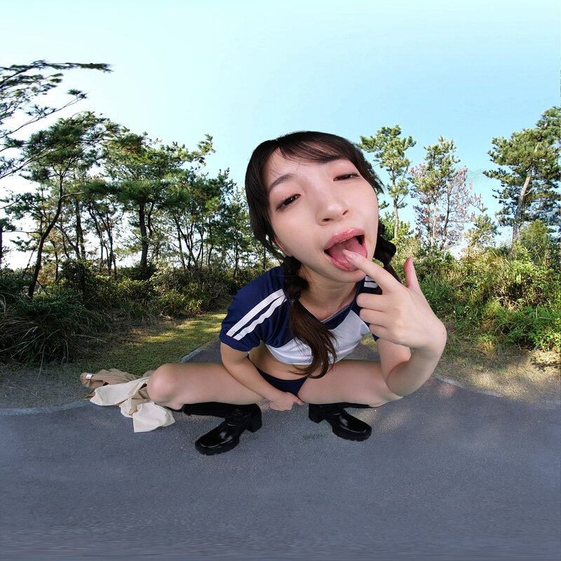 サンプル画像 12