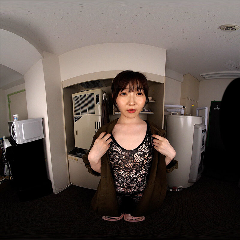 サンプル画像 16