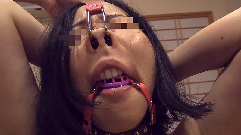 サンプル画像 10