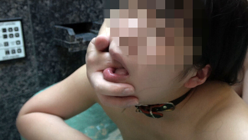 サンプル画像 6