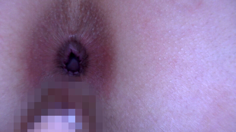 サンプル画像 13