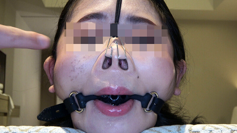 サンプル画像 13