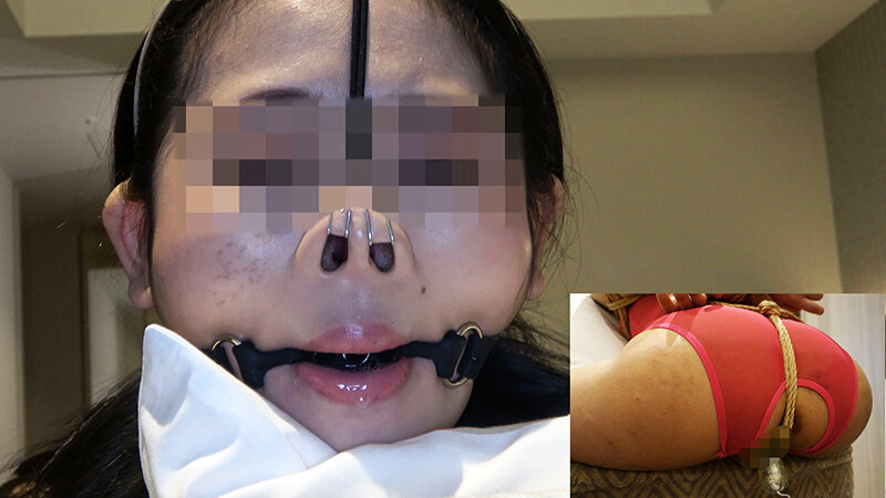 サンプル画像 15