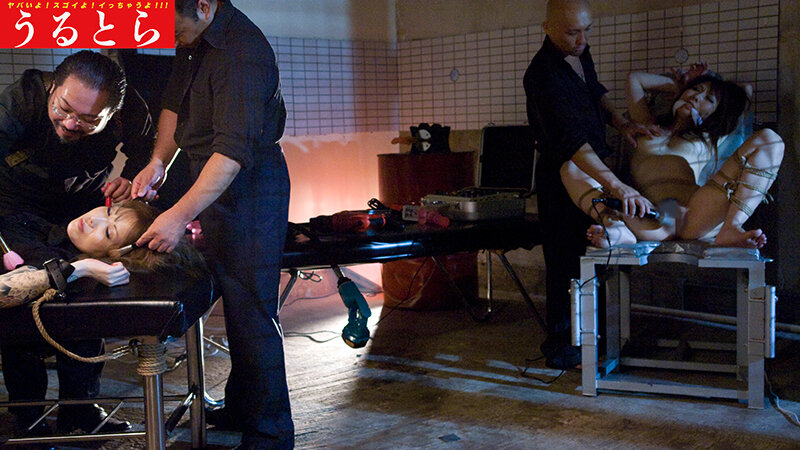 サンプル画像 3