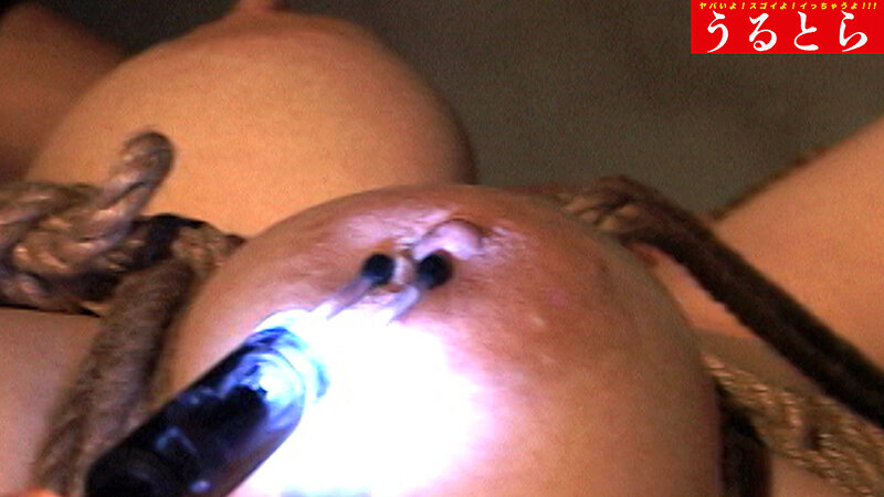 サンプル画像 4