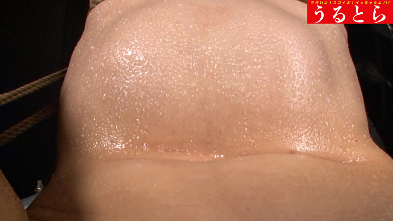 サンプル画像 16