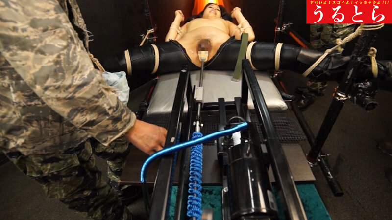 サンプル画像 9