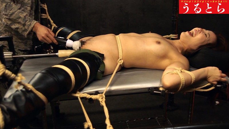 サンプルプレビュー