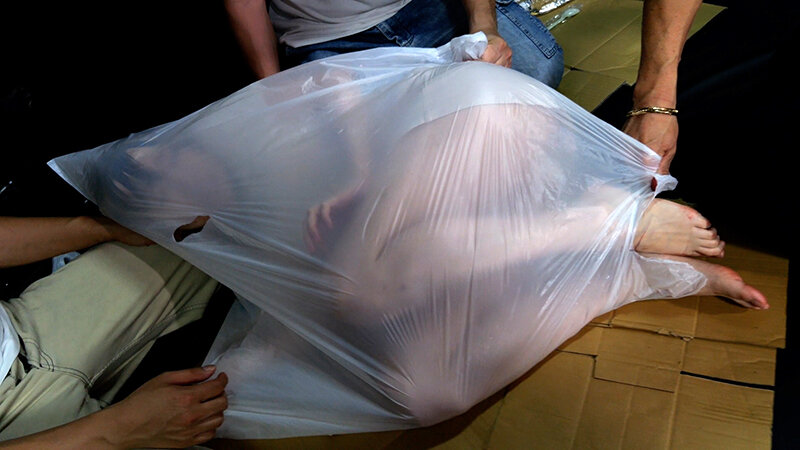 サンプル画像 6