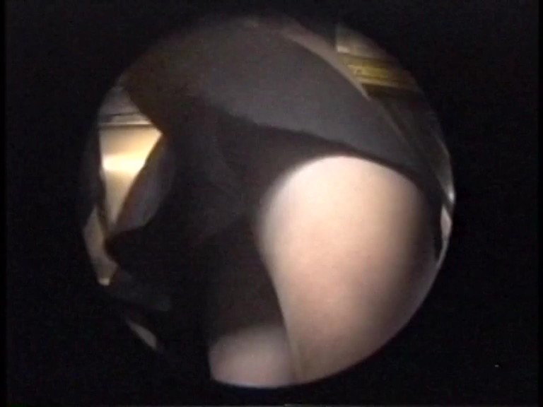 サンプル画像 7