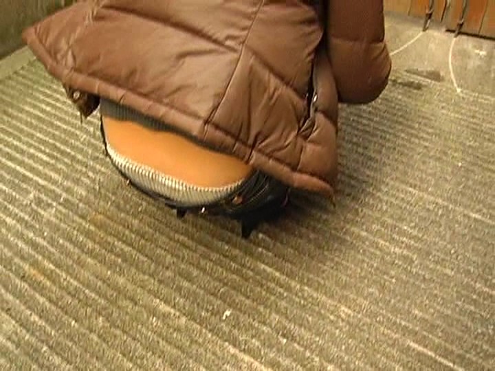 サンプル画像 4
