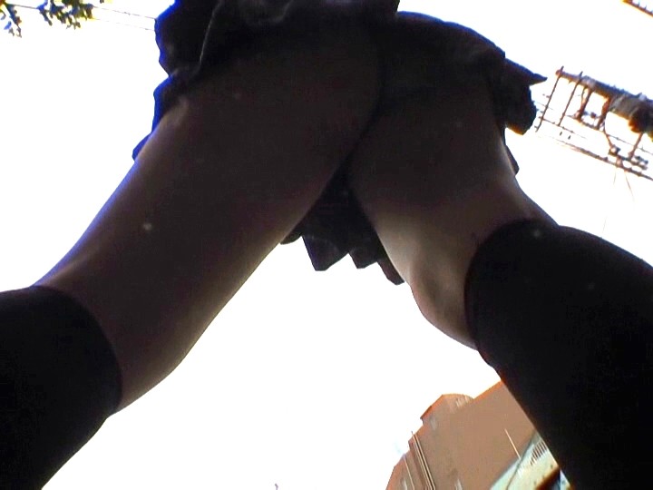 サンプル画像 5