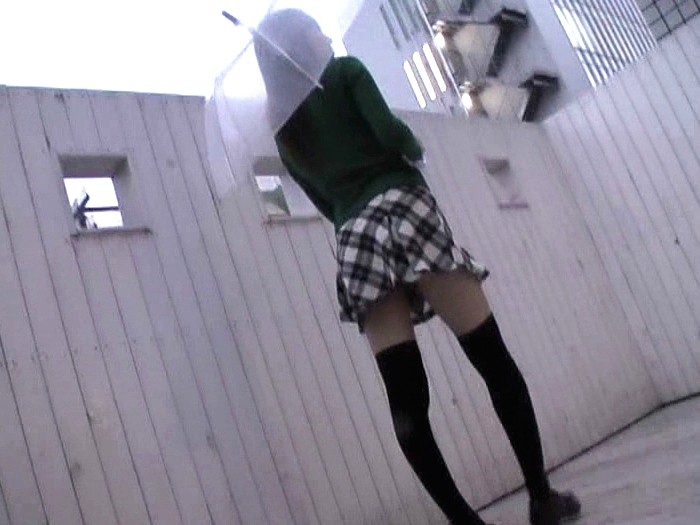 サンプル画像 20