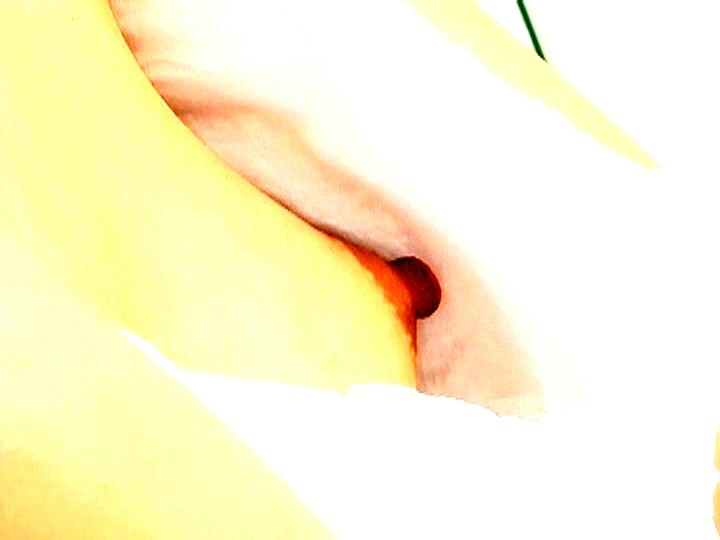 サンプル画像 13