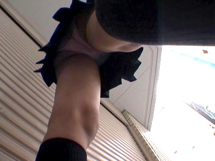 サンプル画像 4