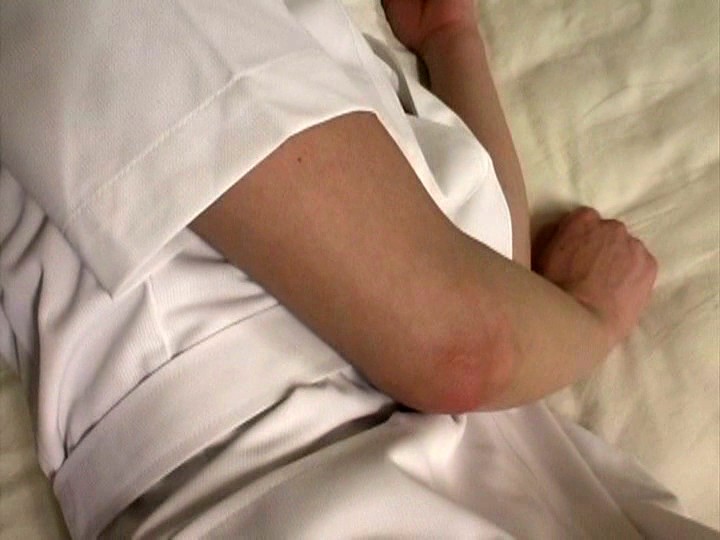 サンプル画像 13