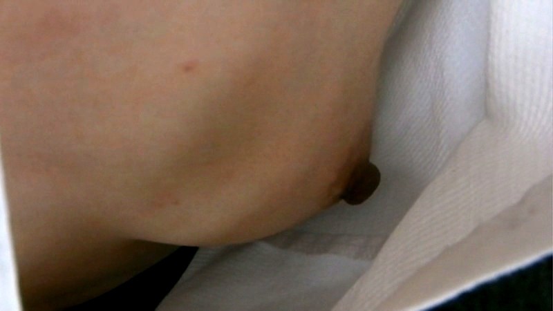 サンプル画像 11