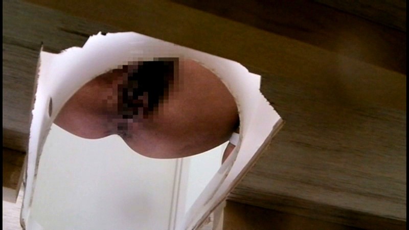 サンプル画像 13