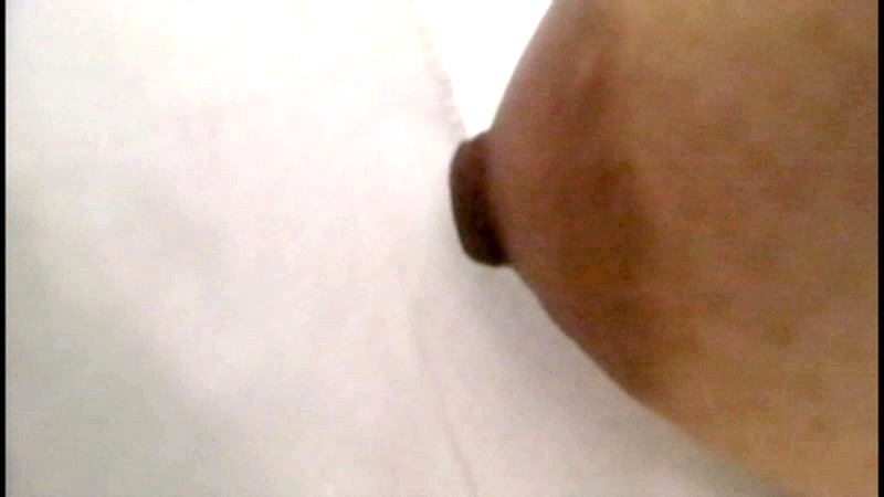 サンプル画像 12