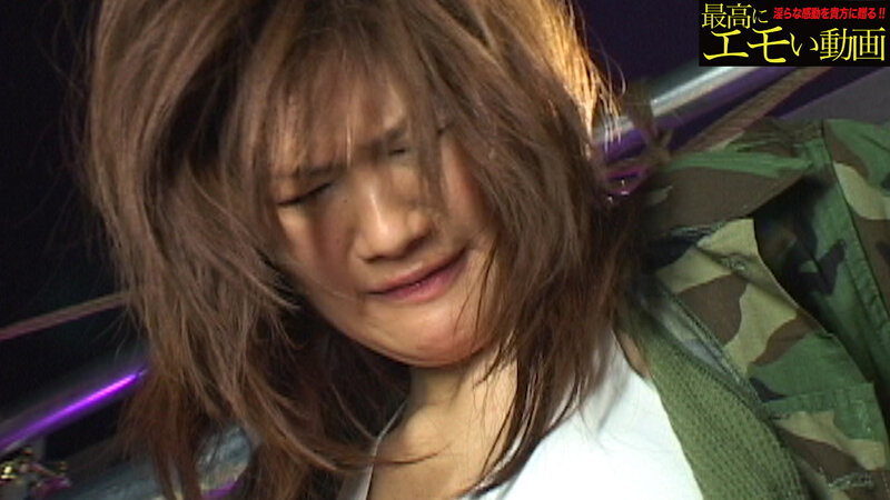 サンプル画像 5