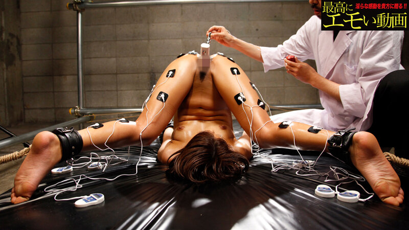 サンプル画像 4