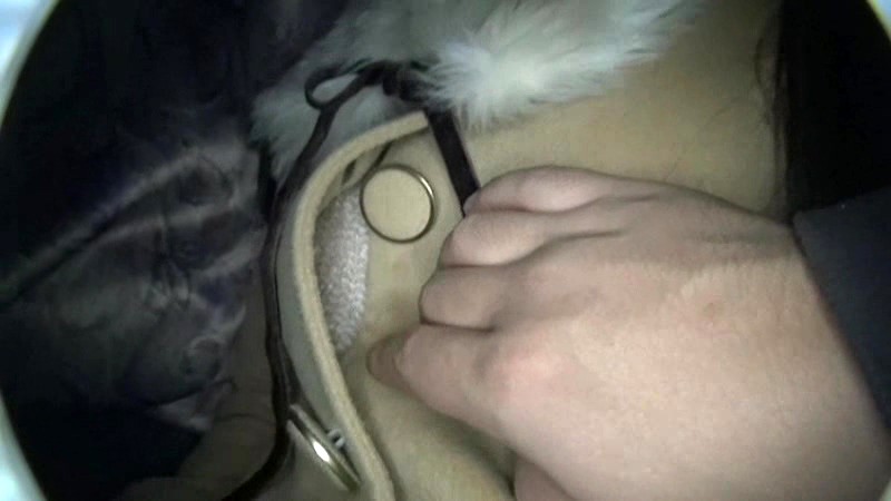 サンプル画像 14