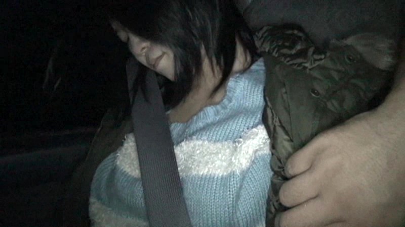 サンプル画像 3