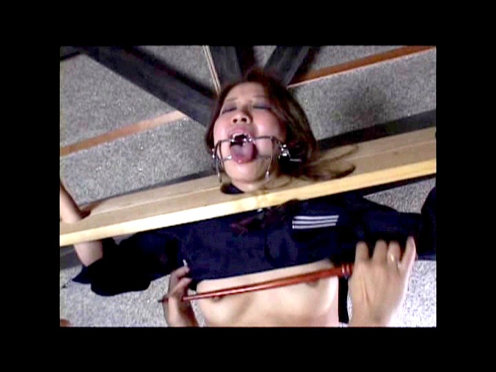 サンプル画像 8