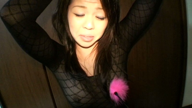 サンプル画像 20